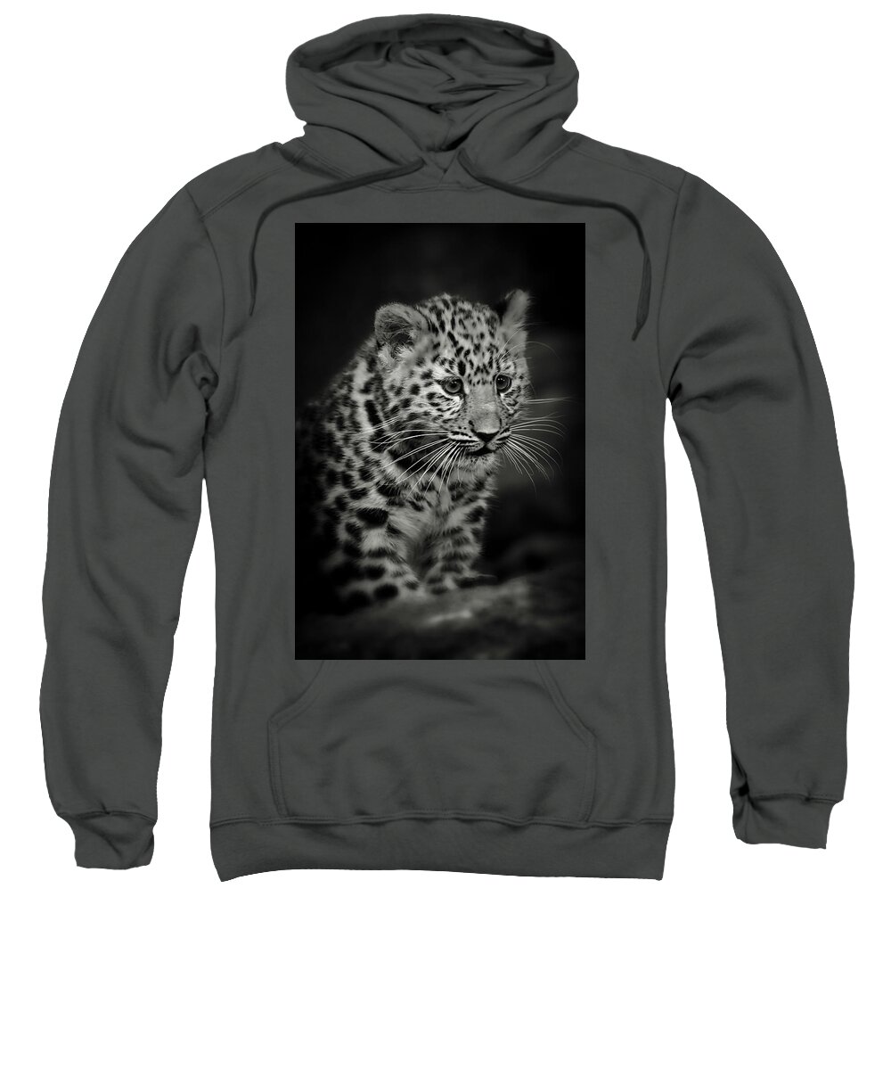 Amur Sweatshirt featuring the photograph Amur Leopard Cub - Sepia by Chris Boulton