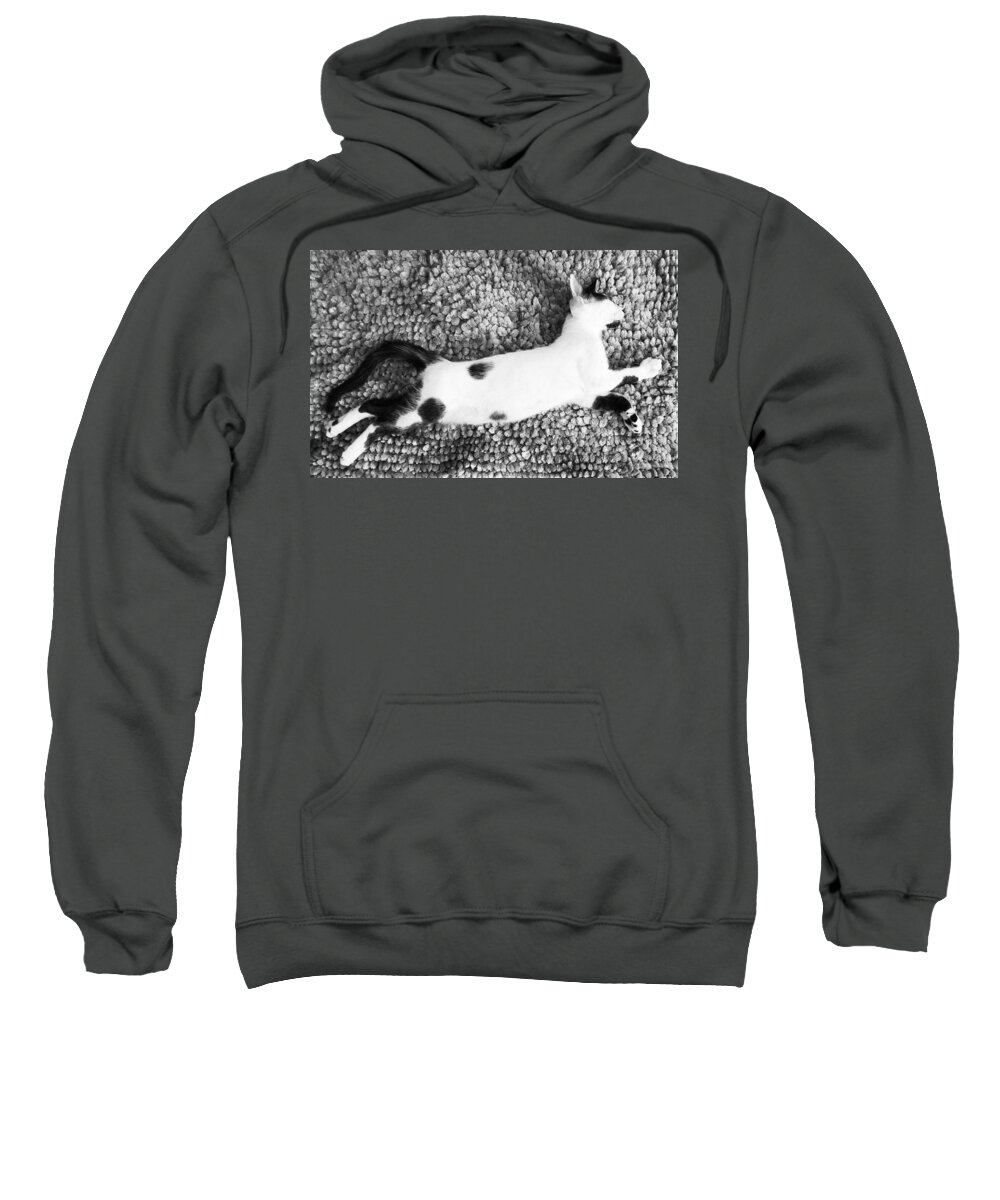 Cat Art Sweatshirt featuring the photograph Angel Flying by Valerie Greene