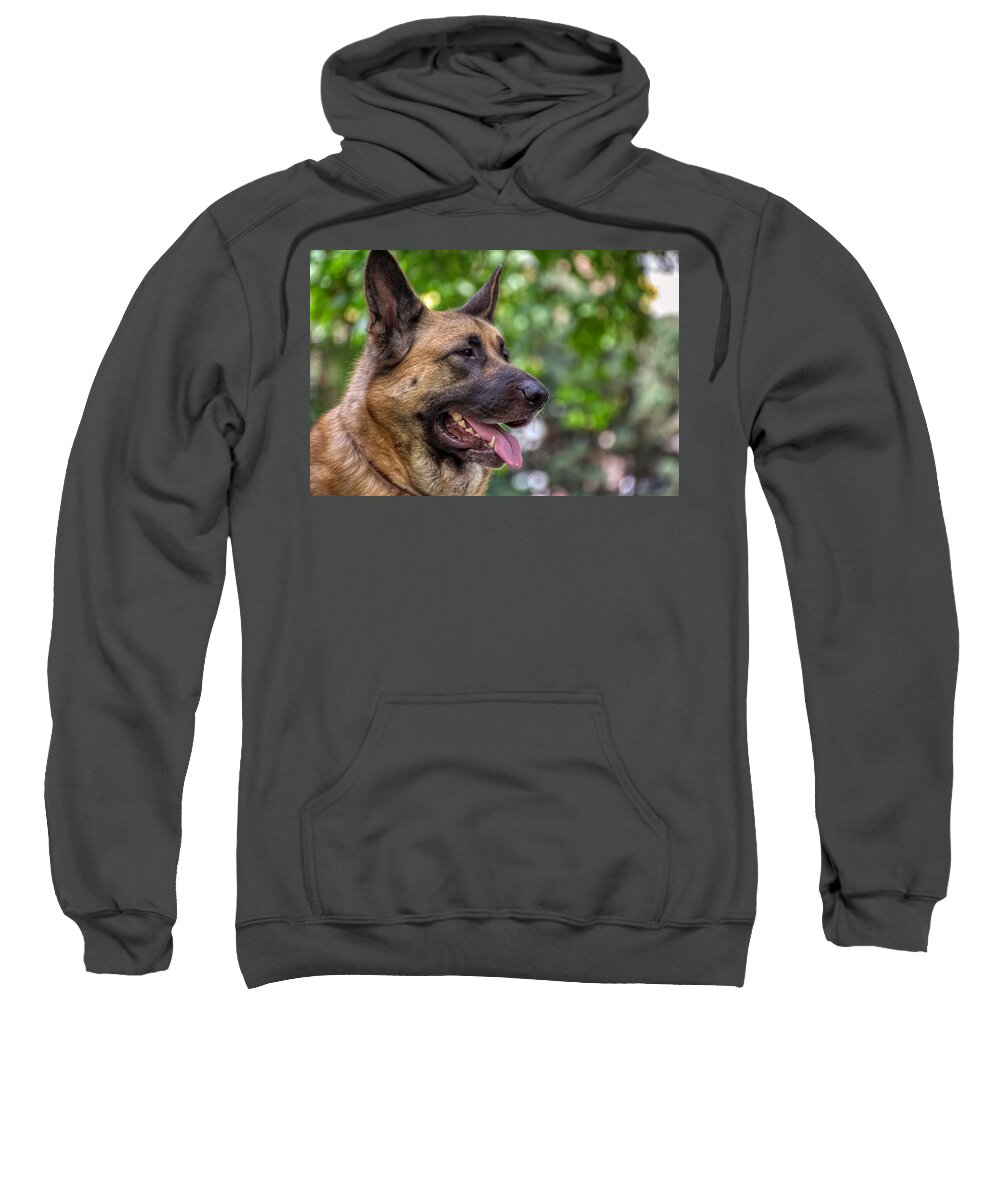 German Shepherd Sweatshirt featuring the photograph Ares by Raymond Hill