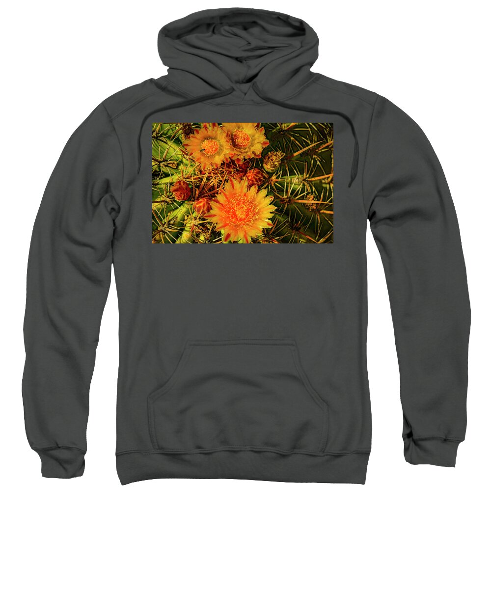 Cactus Sweatshirt featuring the photograph Arizona Yellow Cactus Flower by Matthew Bamberg