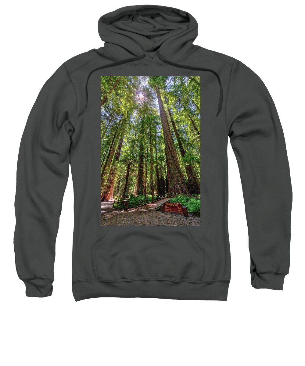 California Sweatshirt featuring the photograph As Tall as Tall Can Be by Dan Carmichael