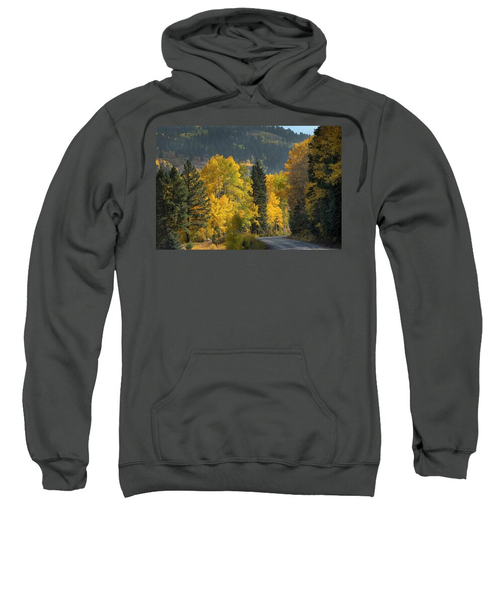 Aspen Sweatshirt featuring the photograph Aspen near Pagosa Springs-2 by Mark Langford