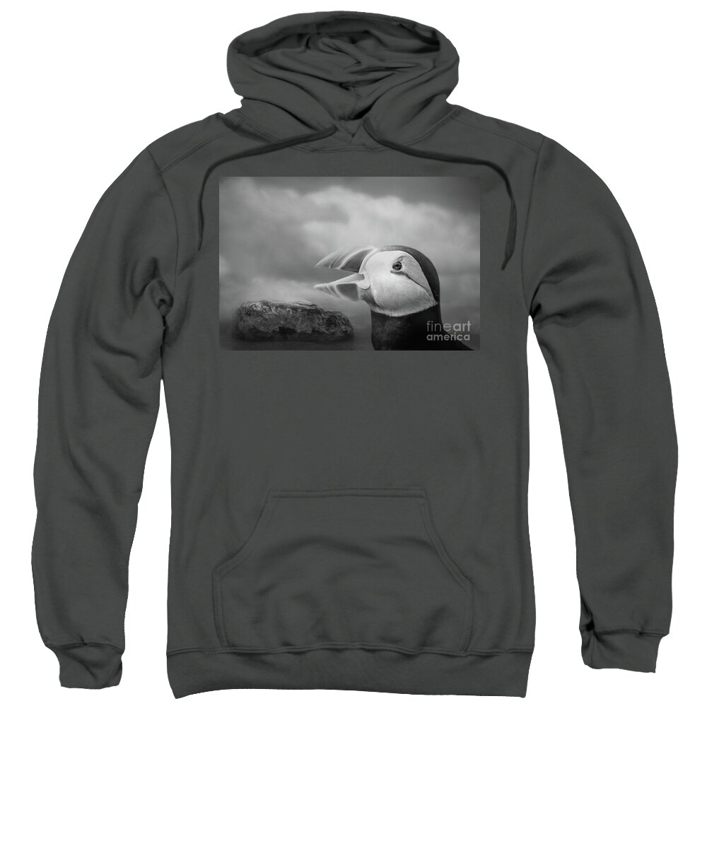 Puffin Sweatshirt featuring the photograph Atlantic Puffin Portrait BW by Elisabeth Lucas