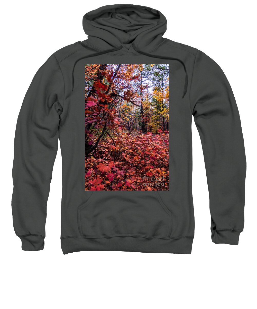 Taos Sweatshirt featuring the photograph Autumn Explosion 4 by Elijah Rael