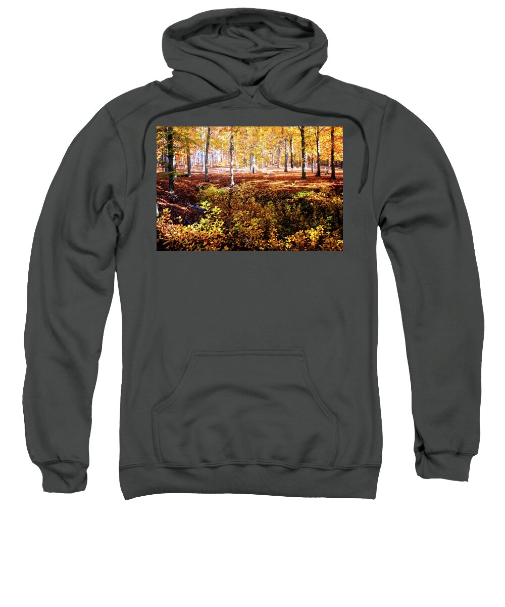 Color Sweatshirt featuring the photograph Autumn in Wayside Park by Alan Hausenflock