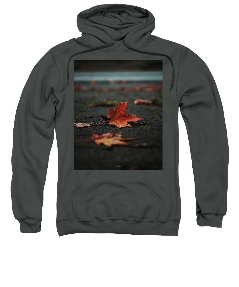 Sweatshirt featuring the photograph Autumn Leaves in the City by William Boggs