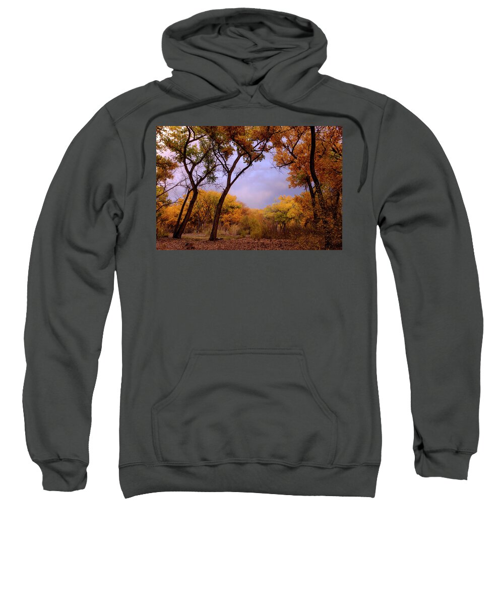 Scenic Sweatshirt featuring the photograph Autumn Splendor by Mary Lee Dereske