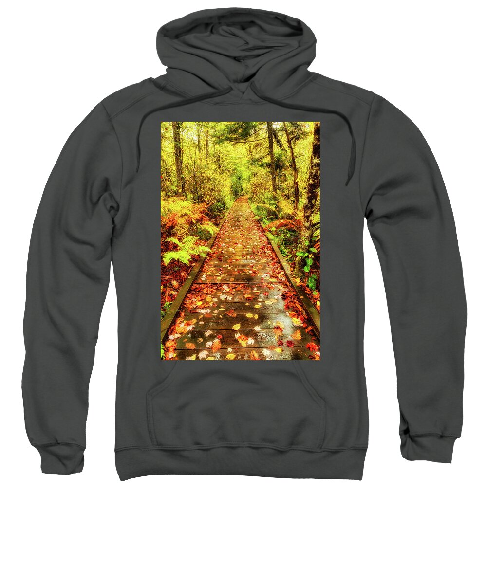 Fall Sweatshirt featuring the photograph Autumn Take a Hike on Color by Dan Carmichael
