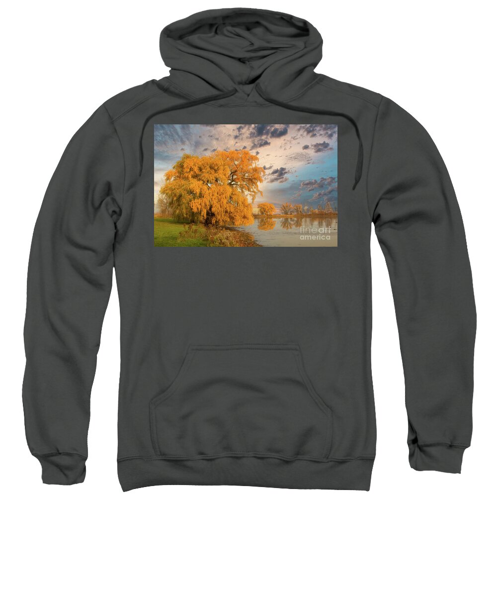 Willow Sweatshirt featuring the photograph Autumn's Ending by Marilyn Cornwell