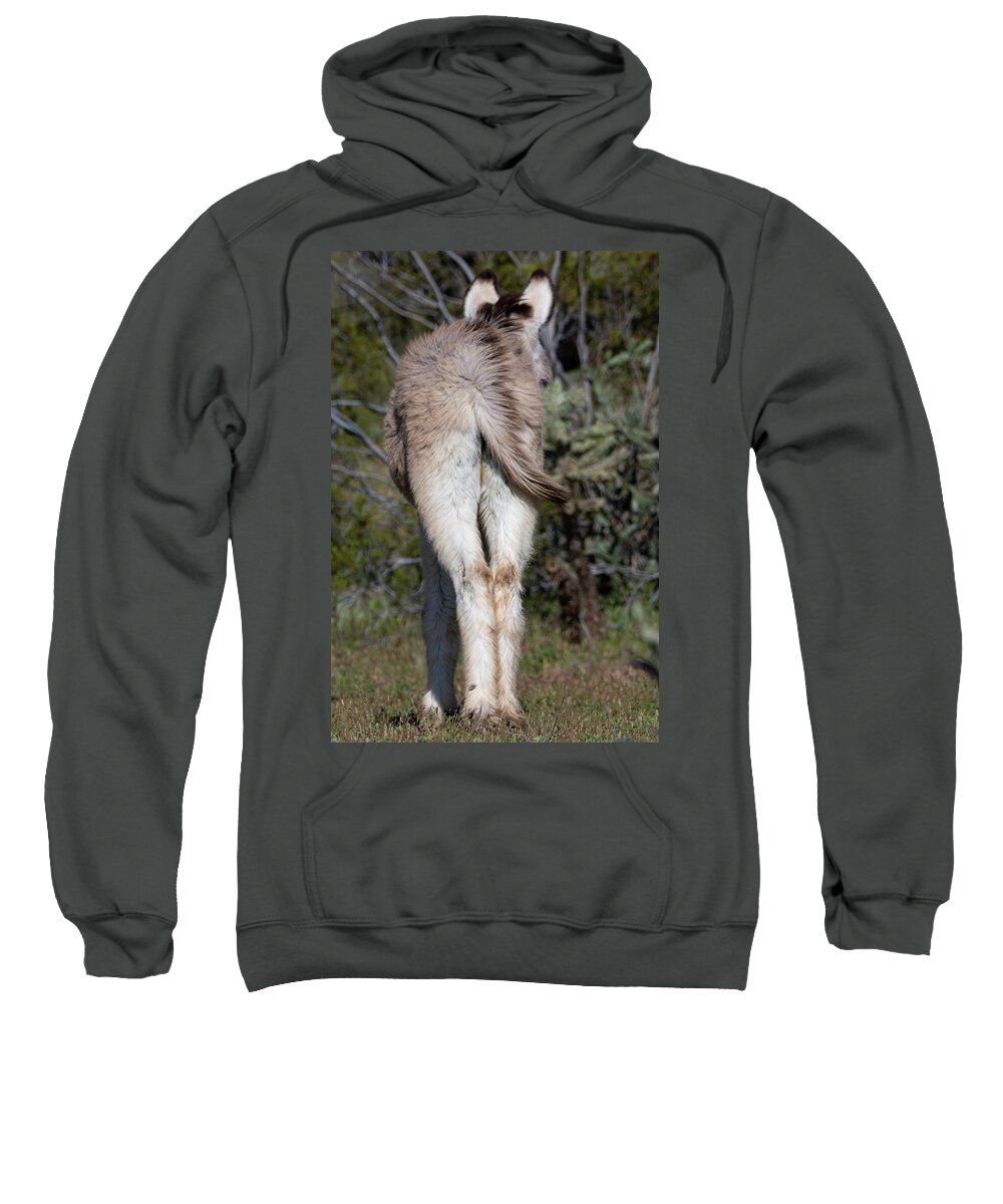 Wild Burros Sweatshirt featuring the photograph Baby Burro Butts Drive Me Nuts by Mary Hone