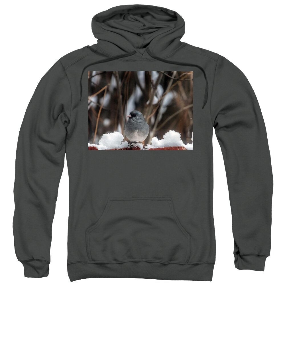 Junco Sweatshirt featuring the photograph Baby, it's Cold Outside by Laura Putman