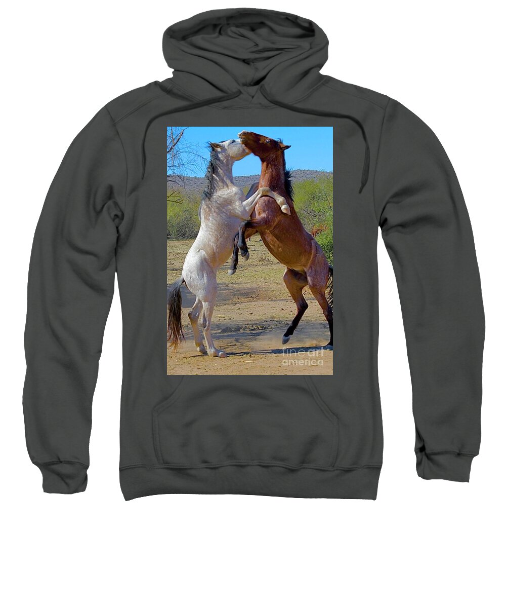 Salt River Wild Horse Sweatshirt featuring the digital art Back Off by Tammy Keyes