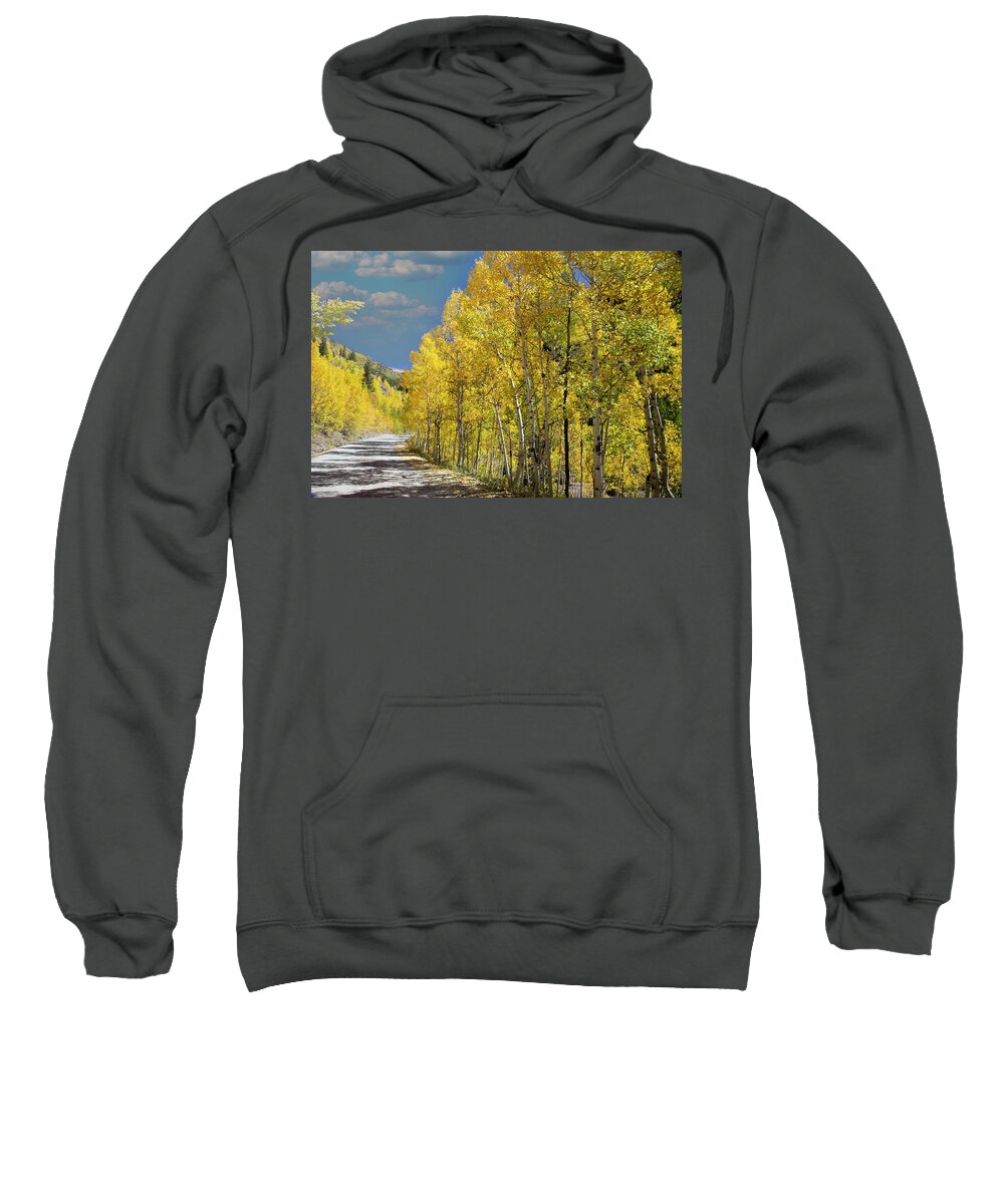 Nature Sweatshirt featuring the photograph Backlit Aspens by Steve Templeton