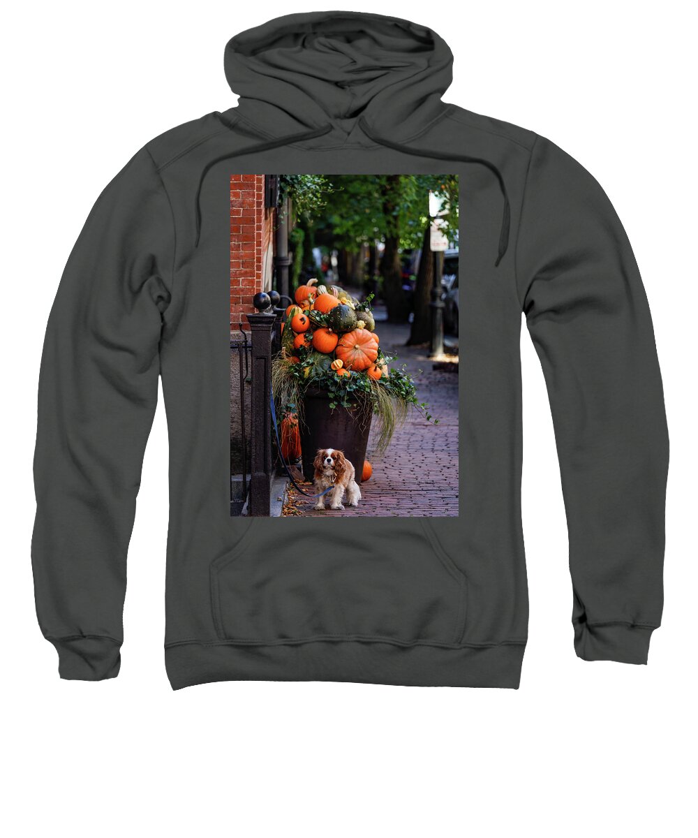 Afternoon Sweatshirt featuring the photograph Beacon Hill, Boston by Alexander Farnsworth