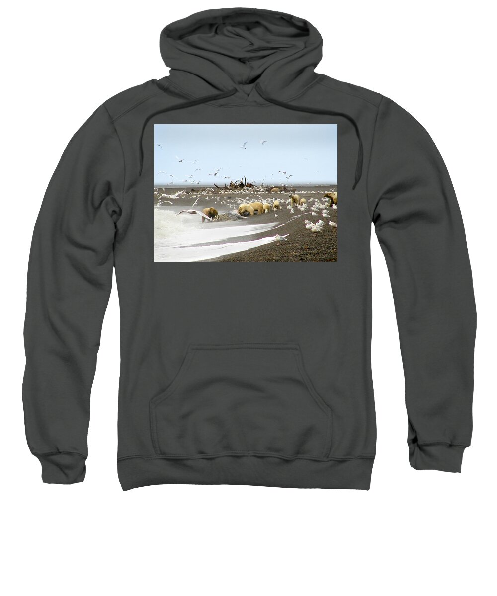 Bear Sweatshirt featuring the photograph Bears Eating Whale - Paintography by Anthony Jones