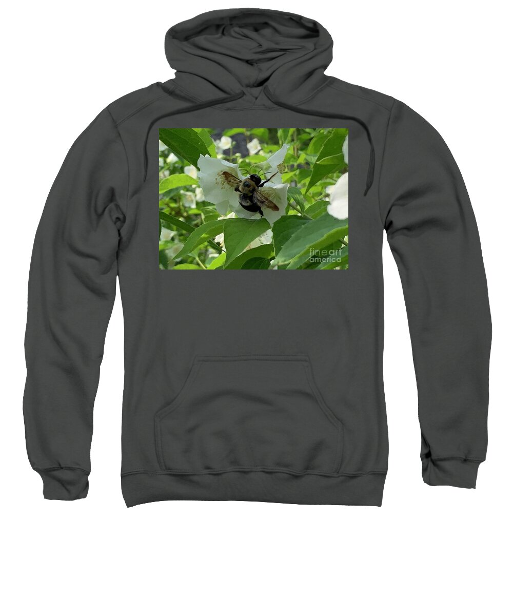 Bee Sweatshirt featuring the photograph Bee Time by Catherine Wilson