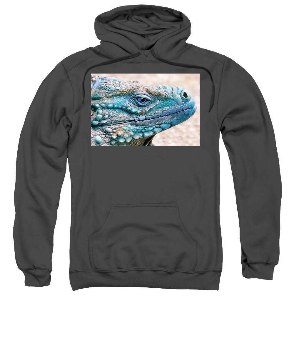 Grand Cayman Blue Iguana Sweatshirt featuring the photograph Behind Blue Eyes by Iryna Goodall
