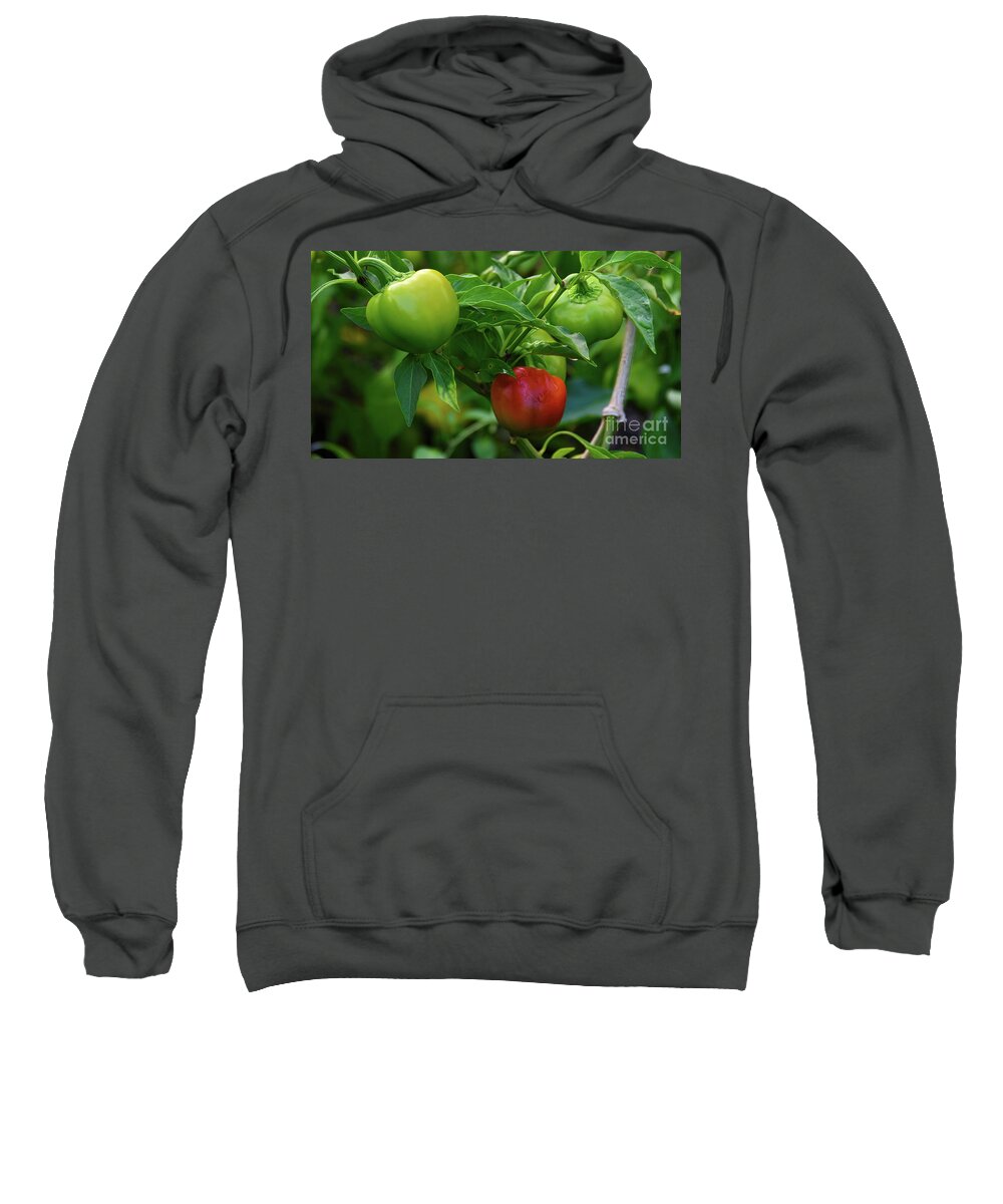 Vegetable Sweatshirt featuring the photograph Bell Peppers by Diana Mary Sharpton