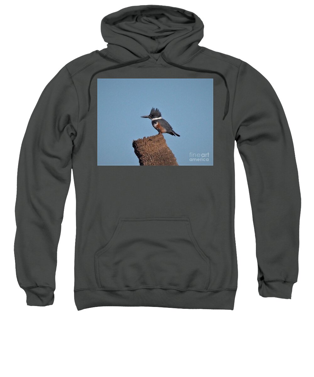 Florida Sweatshirt featuring the photograph Belted Kingfisher by David Ragland
