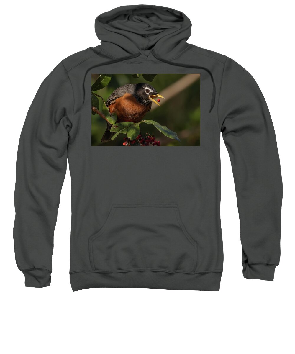 Robin Sweatshirt featuring the photograph Berry Toss by RD Allen