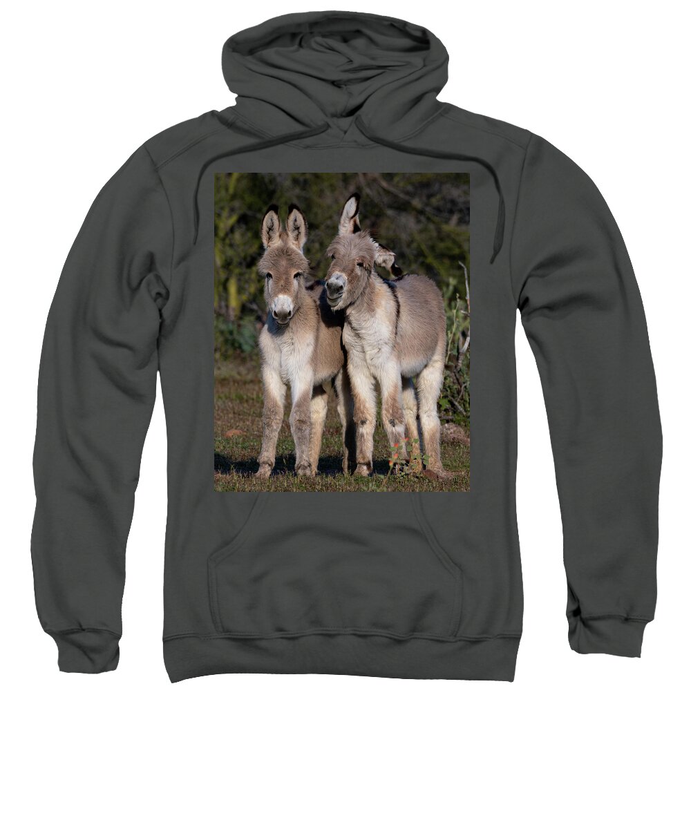 Wild Burros Sweatshirt featuring the photograph Best friends by Mary Hone