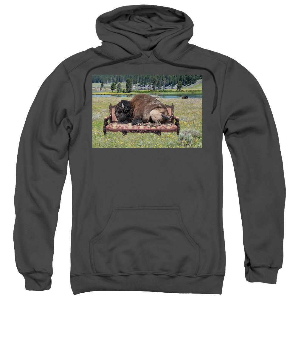 Bison Sweatshirt featuring the photograph Best Seat in the House by Mary Hone