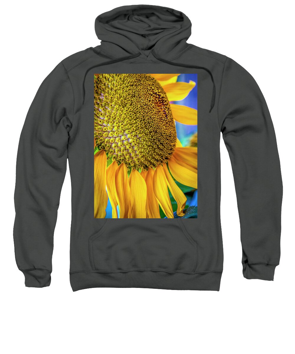 Sunflower Sweatshirt featuring the photograph The Blue and Gold.  by Harriet Feagin