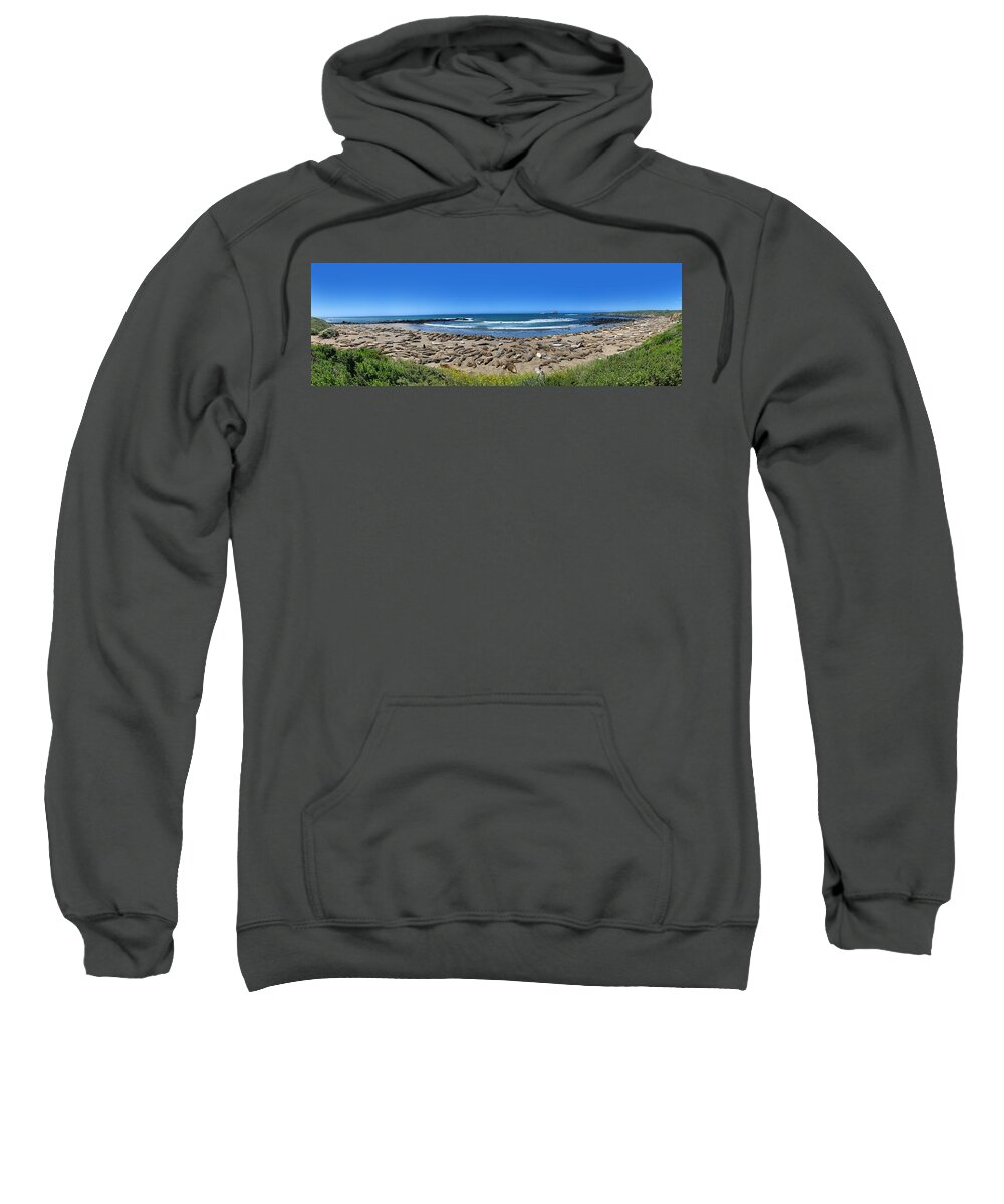 Seals Sweatshirt featuring the photograph Big Sur Elephant Seals by Anthony Jones