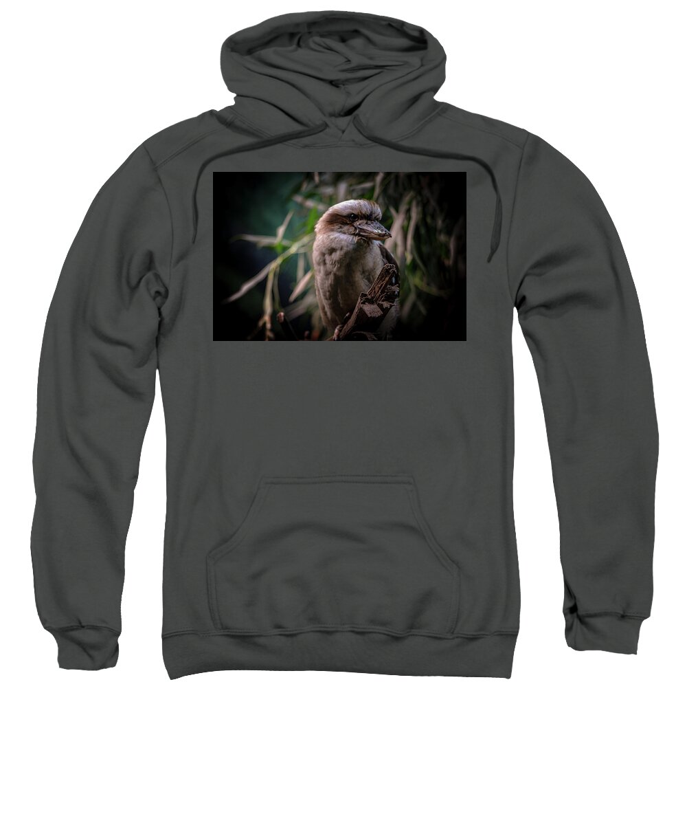 Bird Sweatshirt featuring the photograph Bird by Anamar Pictures