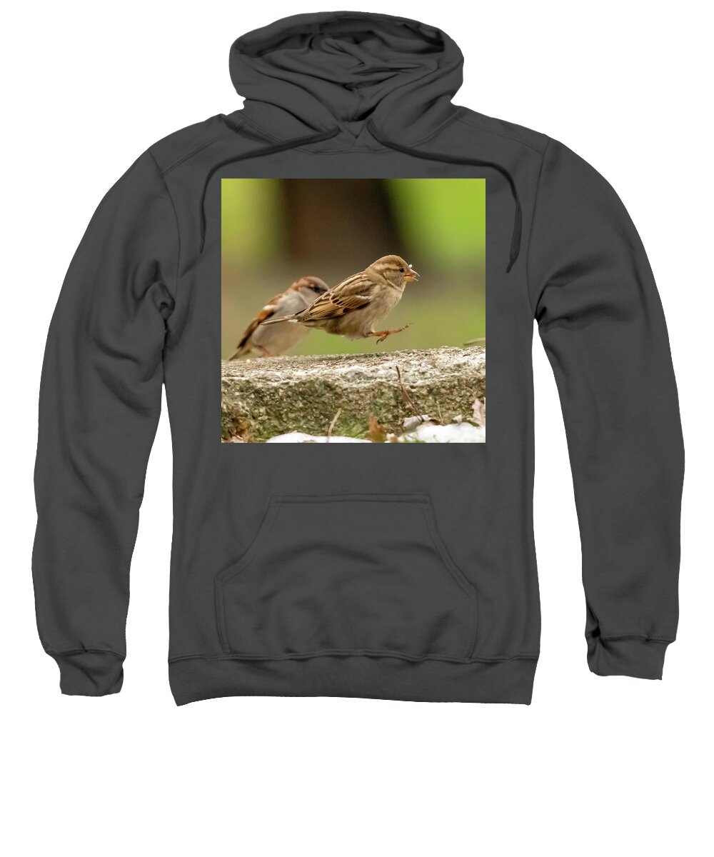Wildlife Sweatshirt featuring the photograph Bird Hop by William Bretton