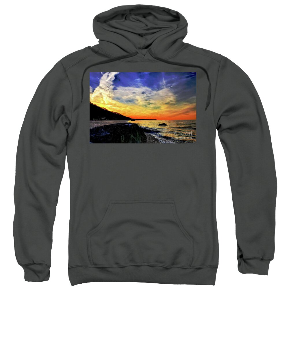 Bird Sweatshirt featuring the photograph Bird of Colorful Skies by Eileen Kelly
