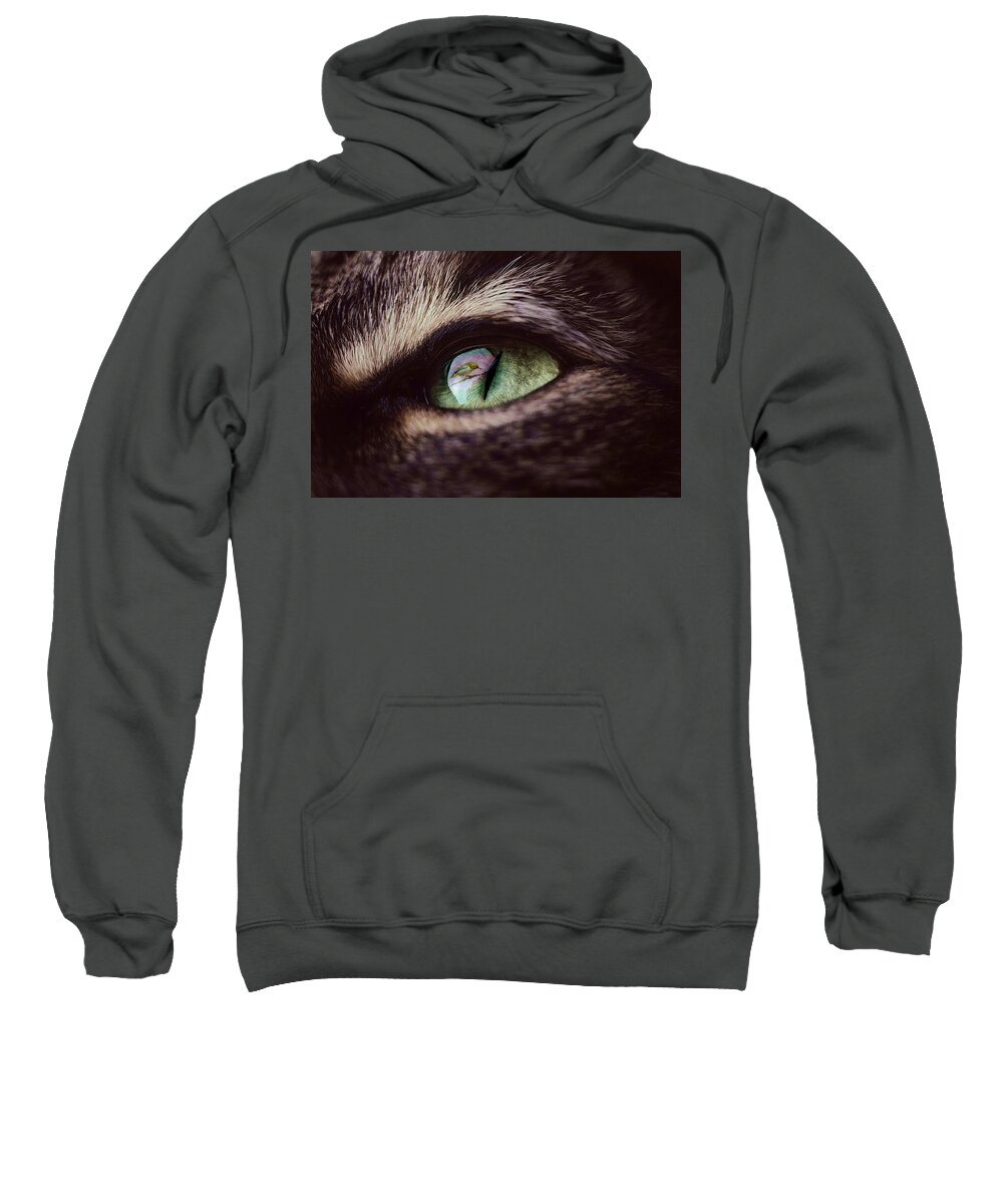Reflection Sweatshirt featuring the mixed media Bird Reflecting in a Cat's Eye by Shelli Fitzpatrick