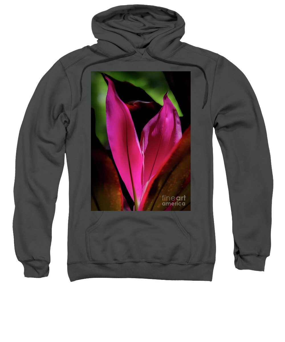 Ti Plant Sweatshirt featuring the photograph New Leaves by Neala McCarten