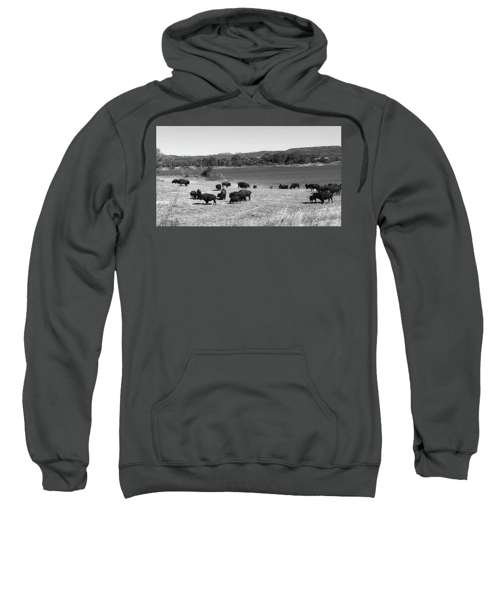 Richard E. Porter Sweatshirt featuring the photograph Bison at Lake Theo 1, Caprock Canyons State Park, Texas by Richard Porter