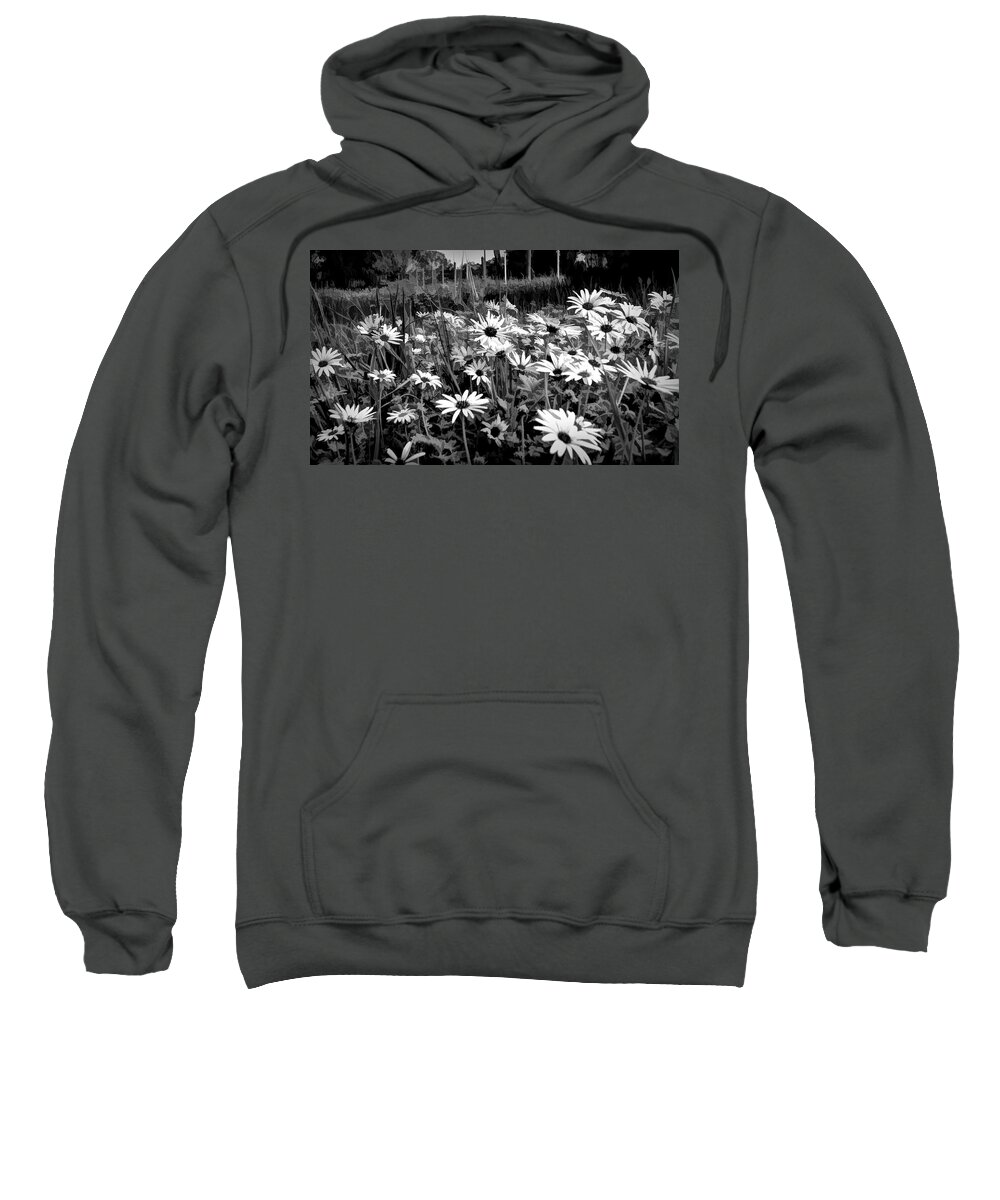 Black And White Sweatshirt featuring the mixed media Black And White Carpet Of Wild Field Daisies by Joan Stratton