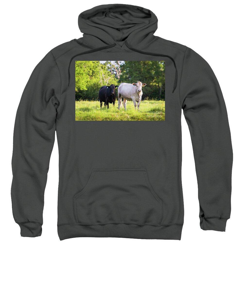  Sweatshirt featuring the photograph Black and White by Vincent Bonafede