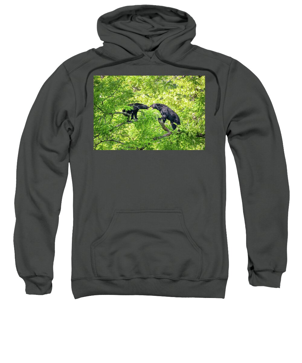 Great Smoky Mountains National Park Sweatshirt featuring the photograph Black Bear Confrontation by Robert J Wagner