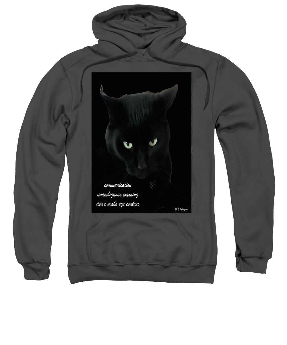 Black Cat Sweatshirt featuring the photograph Black Cat Apparel Haiku by Constantine Gregory