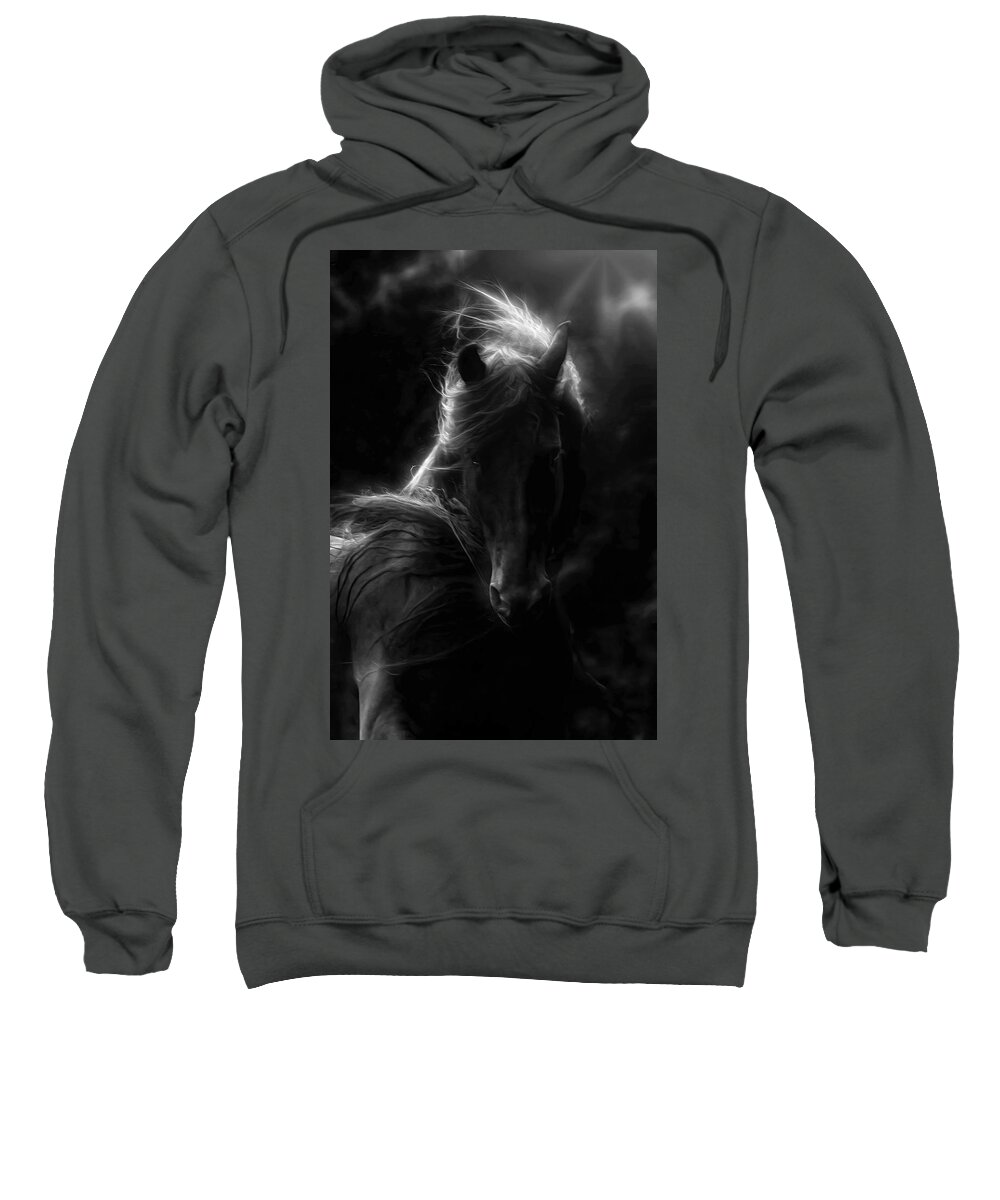 Black Magic Sweatshirt featuring the photograph Black Magic by Wes and Dotty Weber