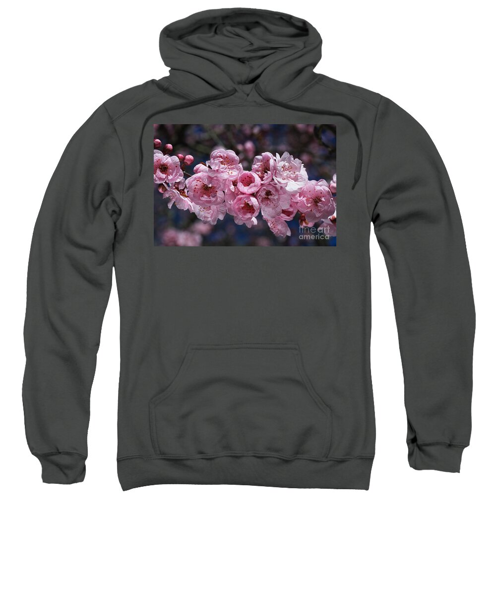 Blossom Sweatshirt featuring the photograph Blossom Loving Spring by Joy Watson