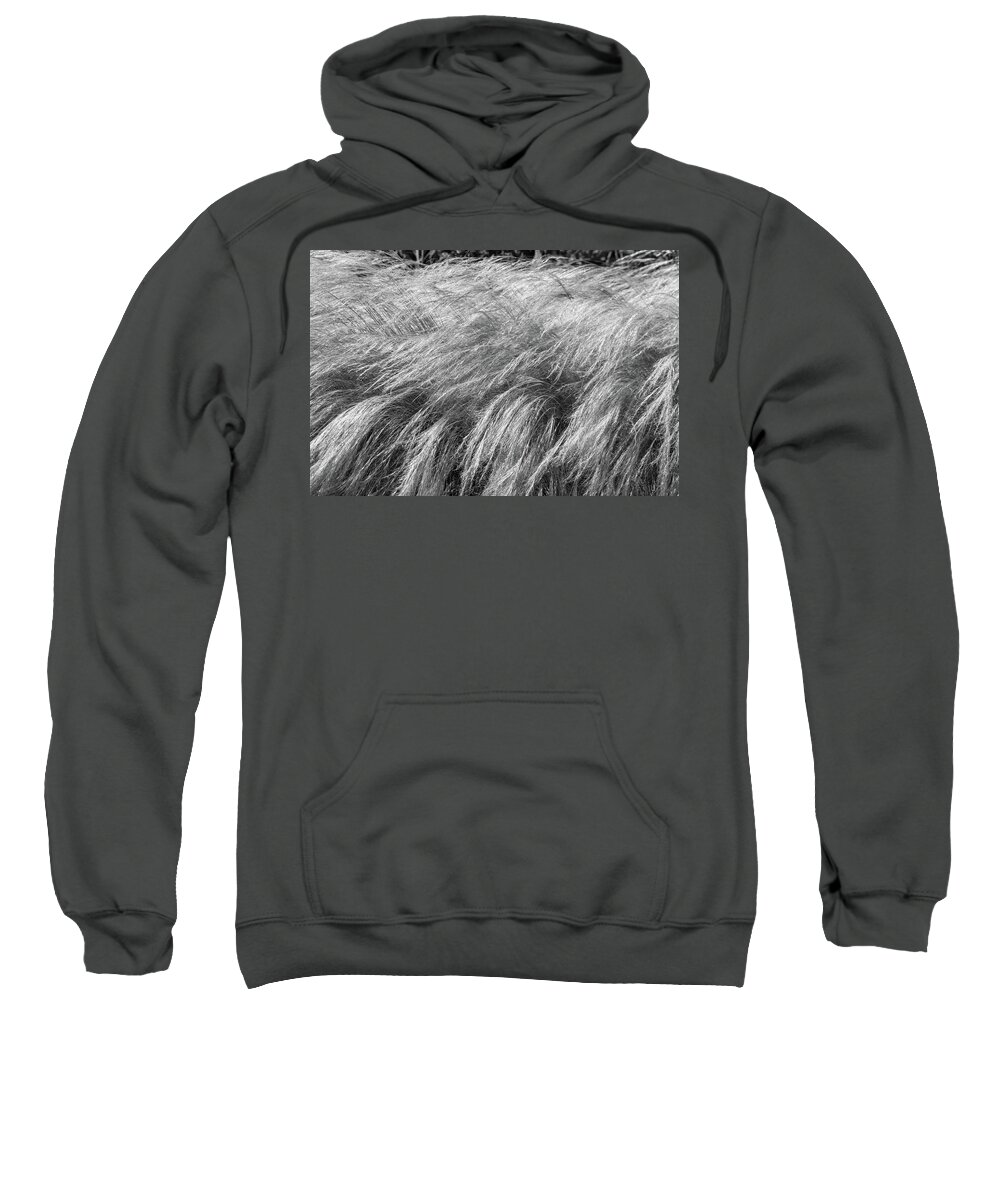 Grass Sweatshirt featuring the photograph Blowing in the Wind by Mary Anne Delgado