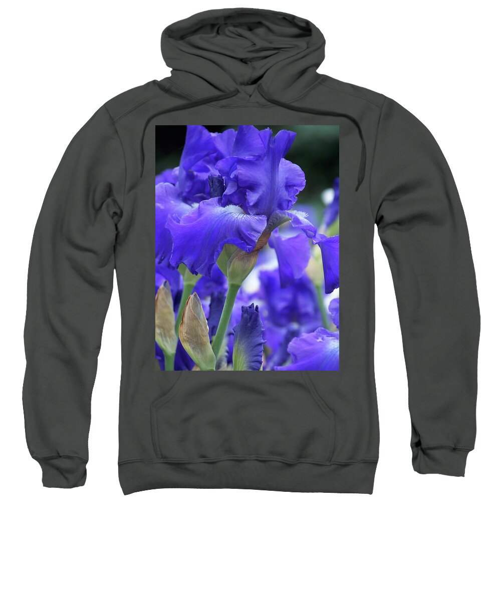 Iris Sweatshirt featuring the photograph Blue Iris by Michelle Mahnke