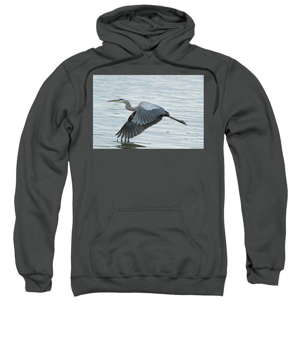 Blue Heron Sweatshirt featuring the photograph Blue with Grace and Beauty by Deborah Benoit