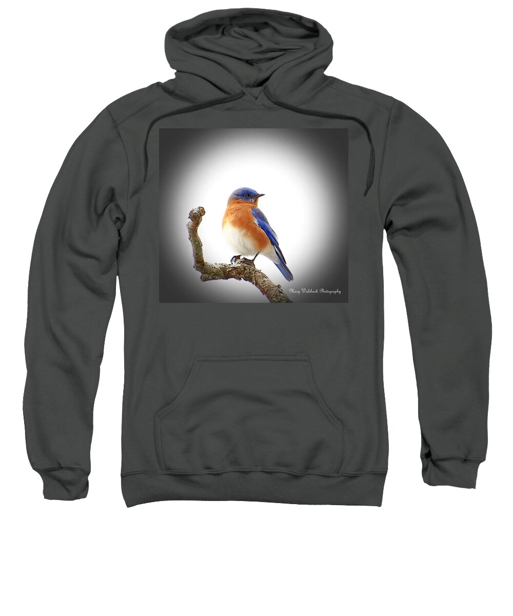Bluebird Sweatshirt featuring the photograph Bluebird in December by Mary Walchuck