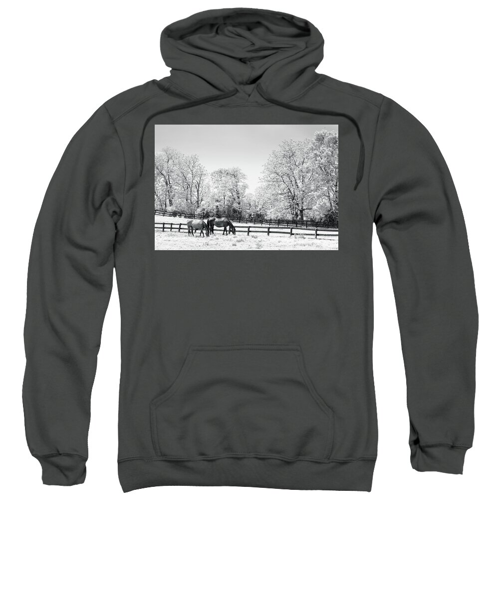 Agriculture Sweatshirt featuring the photograph Bluegrass horse farm IR by Alexey Stiop