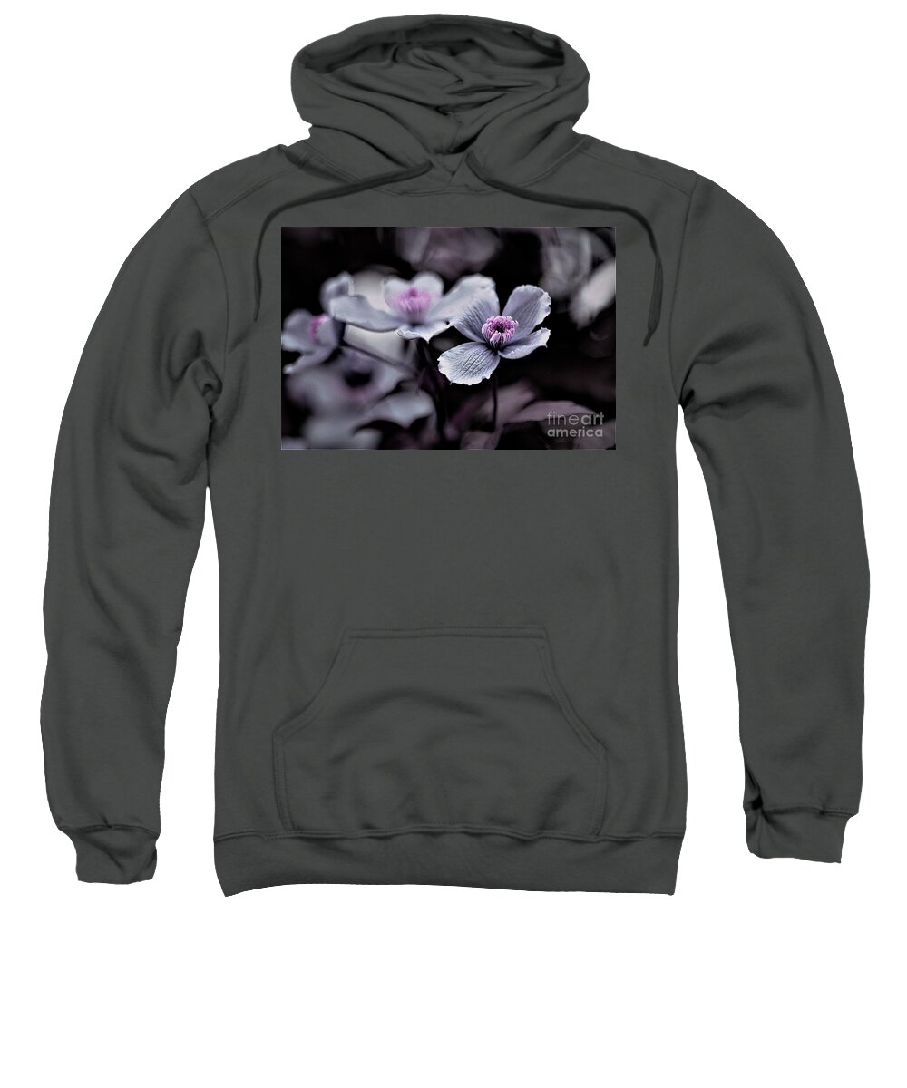 Photography Sweatshirt featuring the photograph Blurred Lines by Tracey Lee Cassin