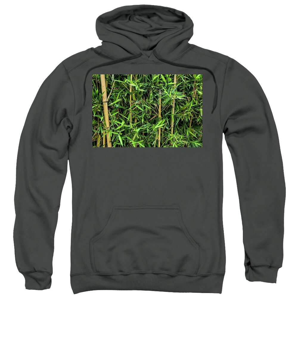 Bamboo Sweatshirt featuring the photograph Bordo Park Bamboo by William Scott Koenig