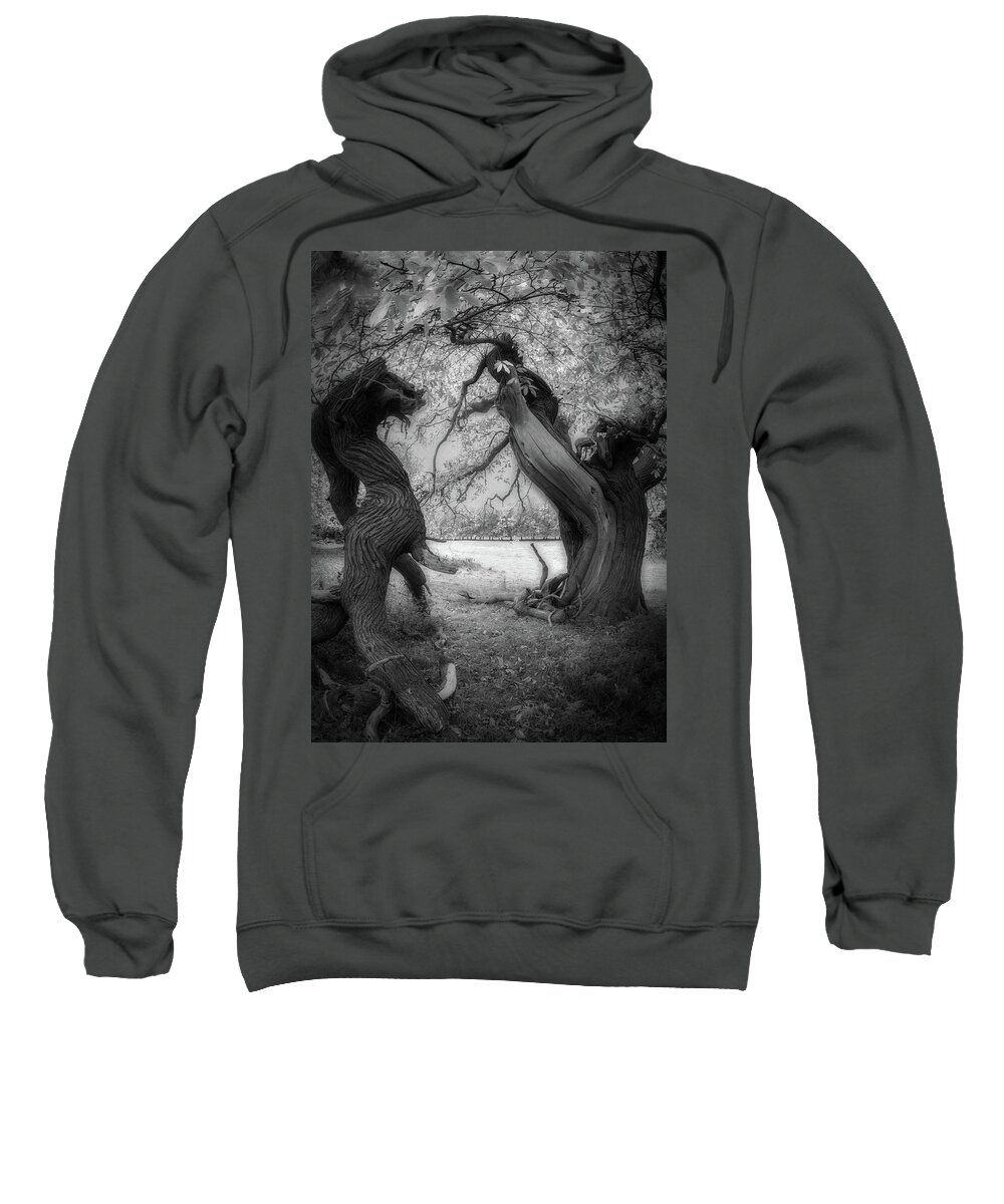 Landscape Sweatshirt featuring the photograph Branches by Remigiusz MARCZAK