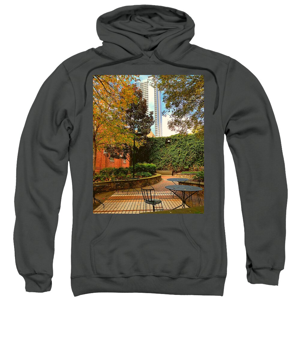 Charlotte Sweatshirt featuring the photograph Break From Reality by Lee Darnell