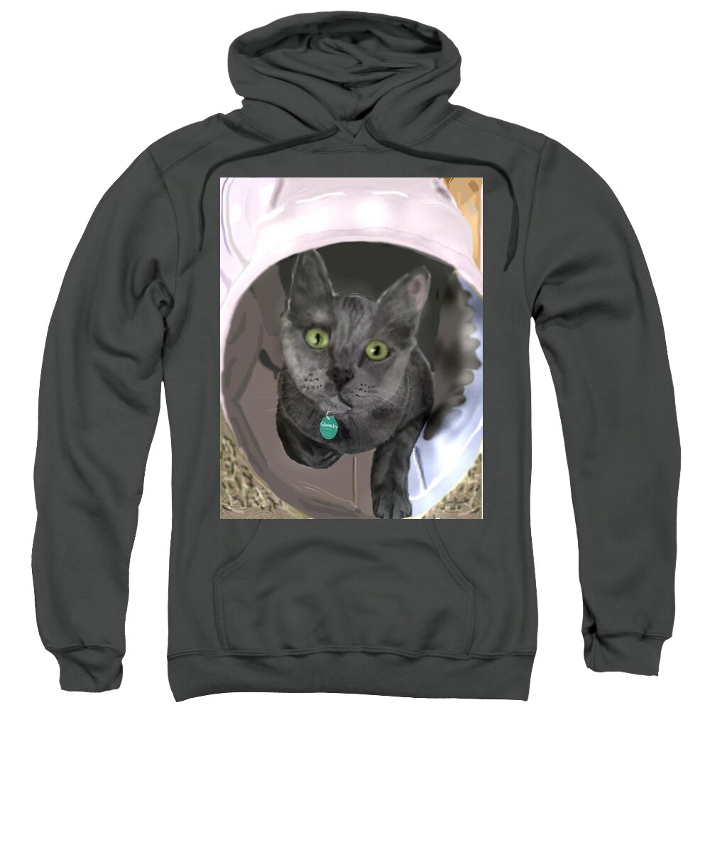 Grey Cat Cat In Tunnel Pencil Sketch Digitally Enhanced Sweatshirt featuring the mixed media Bright eyes by Pamela Calhoun